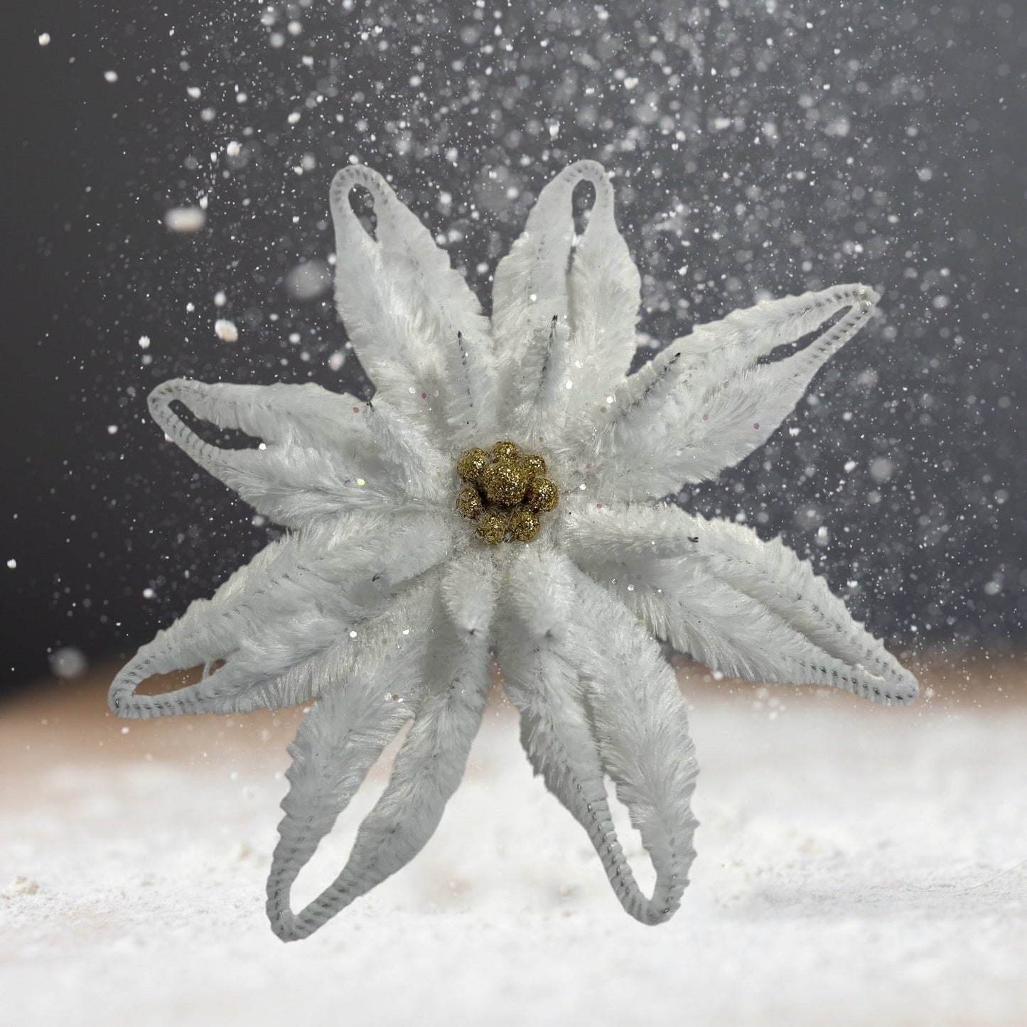 Chenille Poinsettia /white-gold
