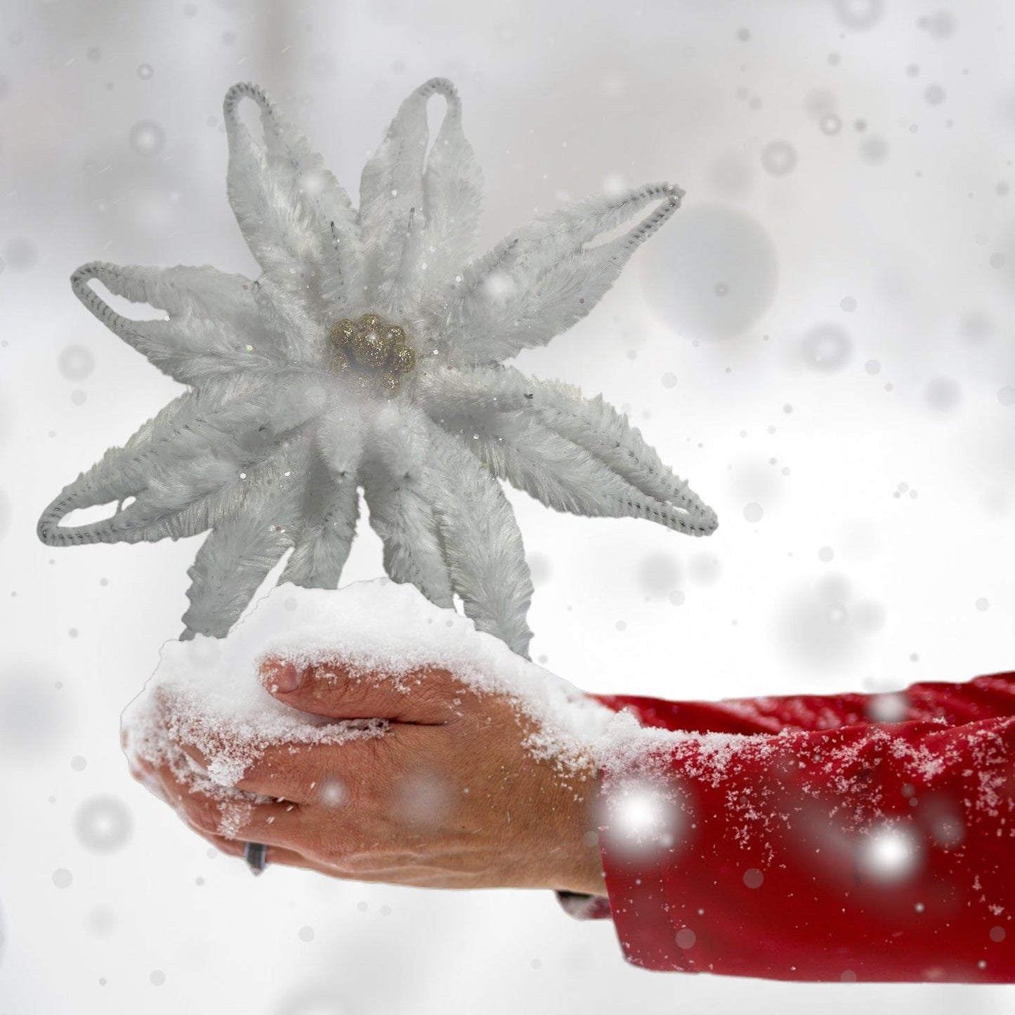 Chenille Poinsettia /white-gold