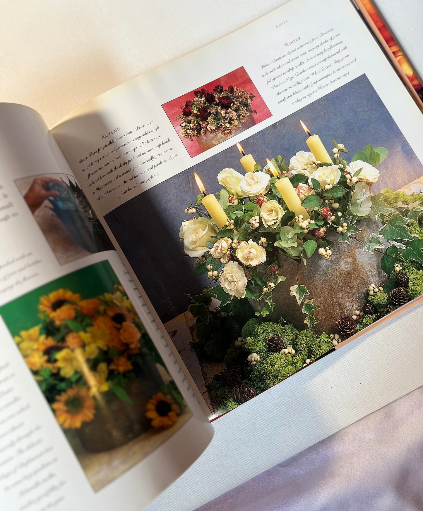 Roses: Inspirations for Practical Gifts, Crafts and Displays